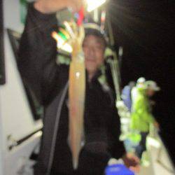 ジギング船 BLUEWATER 釣果