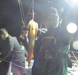 ジギング船 BLUEWATER 釣果