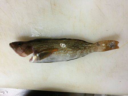 大荒れ後の。。。