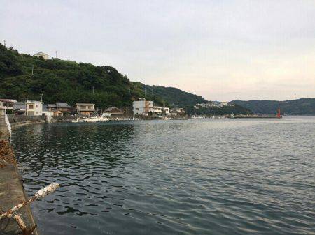 南風が強かった～!!