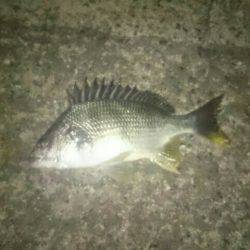 雨が降る前にちょっとだけ