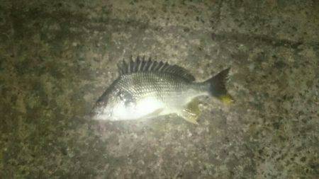 雨が降る前にちょっとだけ