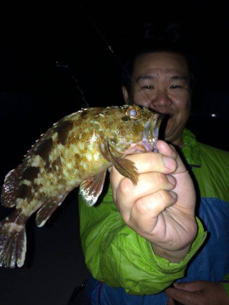 アコウが釣りたいねん‼