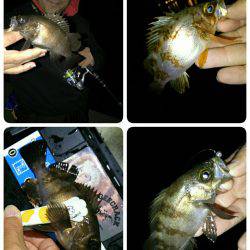 ６月９日はロックナイト？(笑)