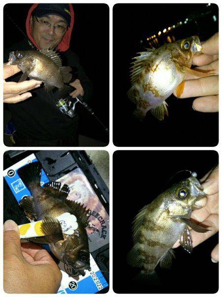 ６月９日はロックナイト？(笑)