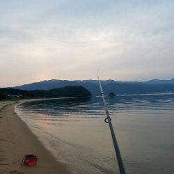 キッスはまだか