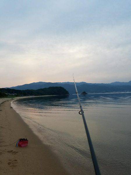 キッスはまだか