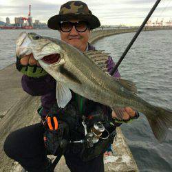 銀物やけど何か?