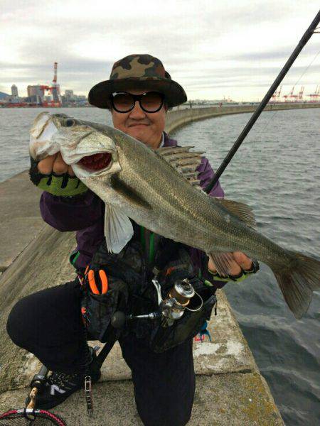 銀物やけど何か？