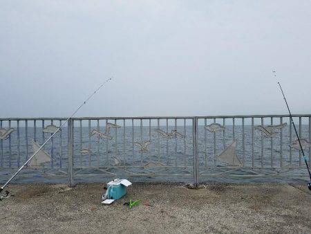 サビキは好調♪