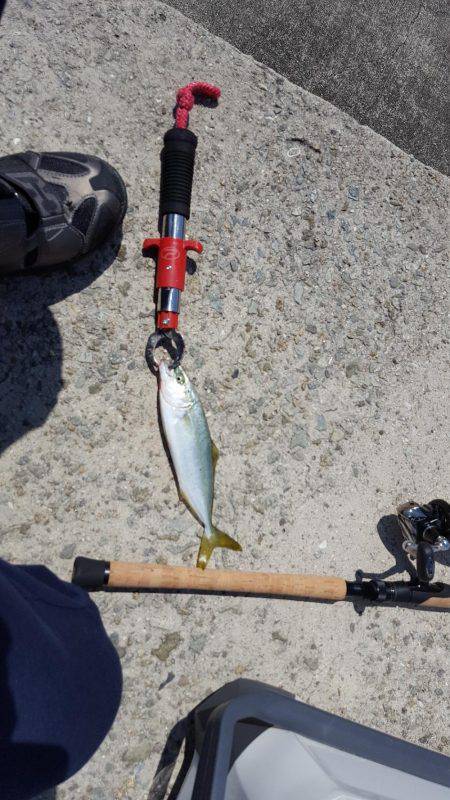 今年初のショアジギ❗