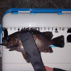 アジメバリング