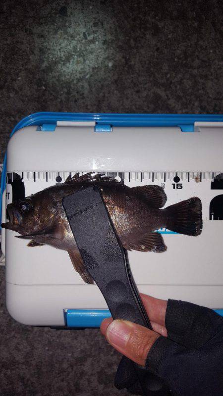 アジメバリング