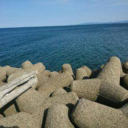 日中に穴釣り！