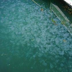 ライトゲームでキス