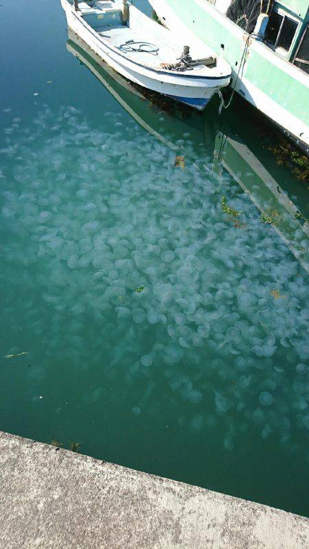 ライトゲームでキス