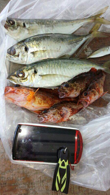 がつんと、当たりました。