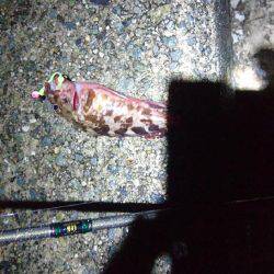 新規開拓で・・・