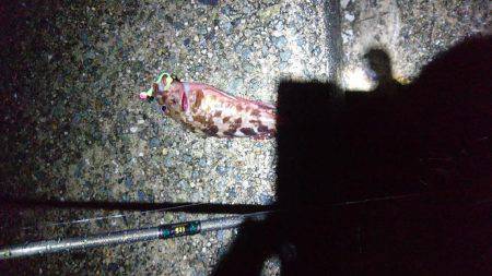 新規開拓で・・・