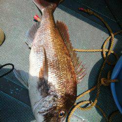 ディープタイラバ