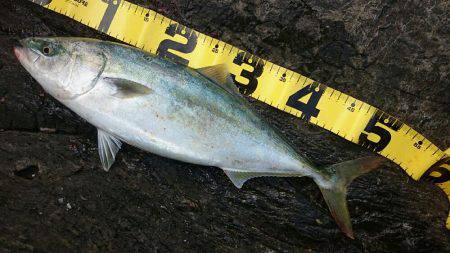 なかなか満足いく結果が出ない