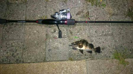 強風メバリング