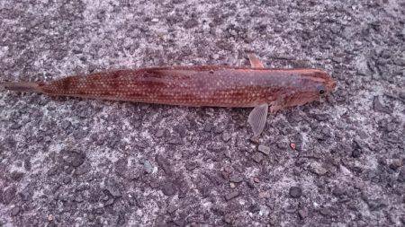 ただ投げたくて