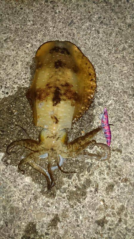 初めてのキロアップ