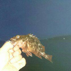 初めての穴釣り