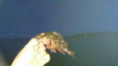 初めての穴釣り