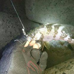 ラストメバリング