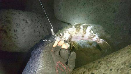 ラストメバリング