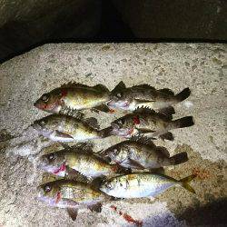 サーフのライトゲーム