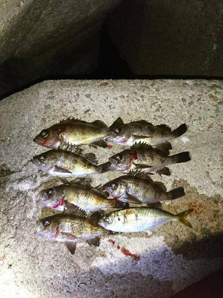 サーフのライトゲーム