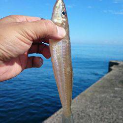 小学一年の息子が……