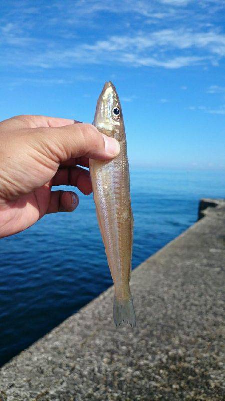 小学一年の息子が……