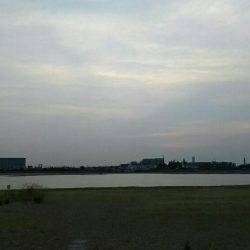 ツバス祭り継続中