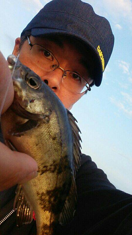 サイトフィッシングハマるわ～♪