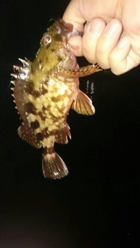 雨上がりライトゲーム