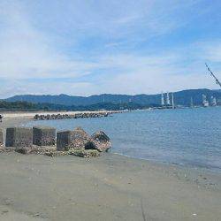 キスの投げ釣り