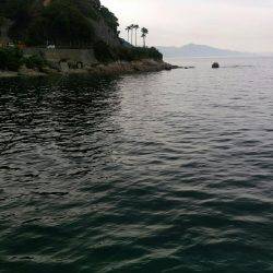 大潮なのにイマイチ