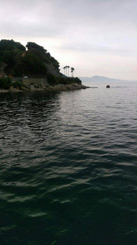 大潮なのにイマイチ