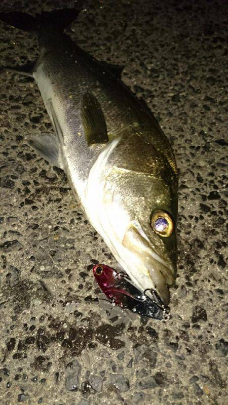 本命……悪戦苦闘……のはずが