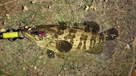 珍しいお客様が……！！(゜ロ゜ノ)ノ