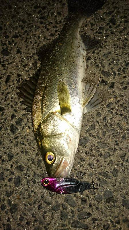 忘れていた……σ(￣∇￣;)