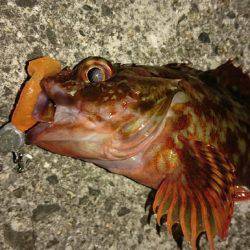 試したかった事……