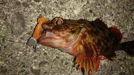 試したかった事……