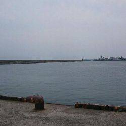 続 弱い者いじめ