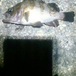 トップで出ました。