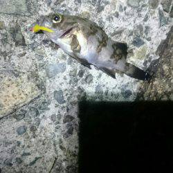 そんなに甘くない